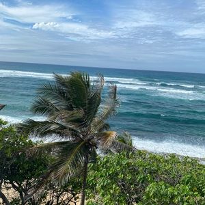 Meet your Posher, Nicolette